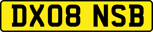 DX08NSB