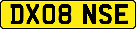 DX08NSE