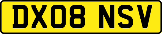 DX08NSV