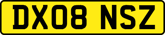 DX08NSZ
