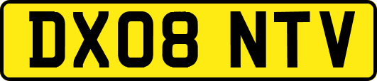 DX08NTV