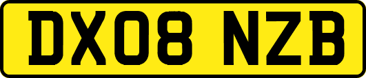 DX08NZB