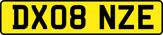DX08NZE