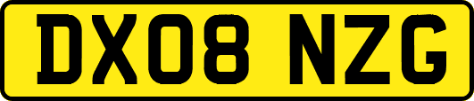 DX08NZG