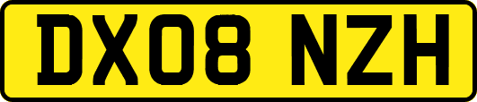 DX08NZH
