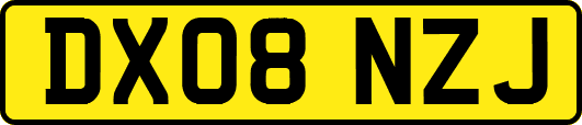 DX08NZJ