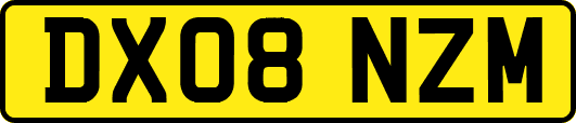 DX08NZM