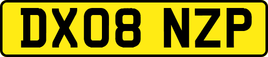 DX08NZP
