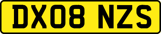 DX08NZS