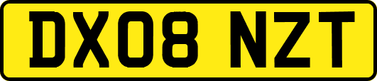 DX08NZT