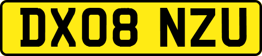 DX08NZU