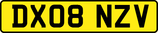 DX08NZV