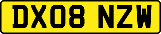 DX08NZW