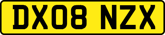 DX08NZX