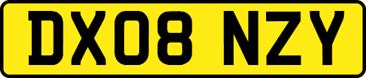 DX08NZY