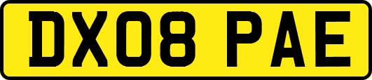 DX08PAE