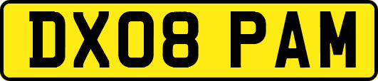 DX08PAM