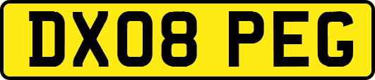 DX08PEG