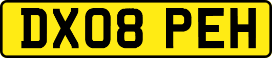 DX08PEH