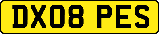 DX08PES