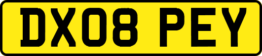 DX08PEY