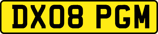 DX08PGM
