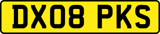 DX08PKS