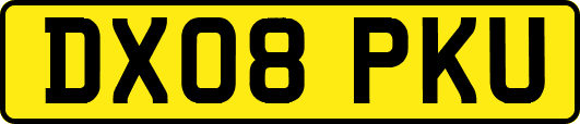 DX08PKU
