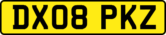 DX08PKZ