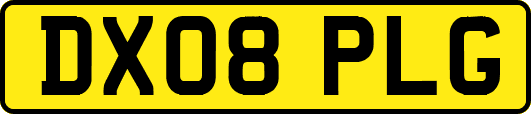 DX08PLG