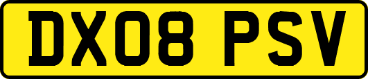 DX08PSV
