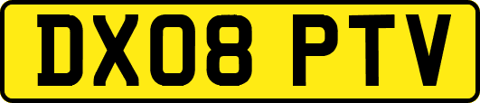 DX08PTV