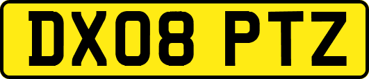 DX08PTZ