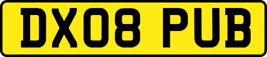 DX08PUB