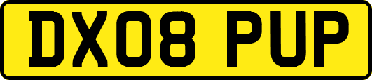 DX08PUP