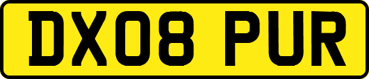 DX08PUR