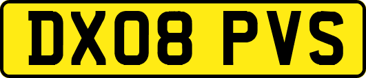 DX08PVS