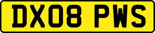 DX08PWS
