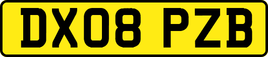 DX08PZB