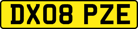 DX08PZE