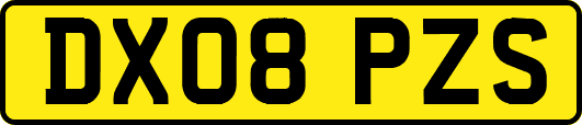 DX08PZS