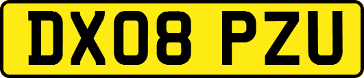 DX08PZU