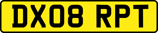 DX08RPT