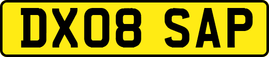 DX08SAP