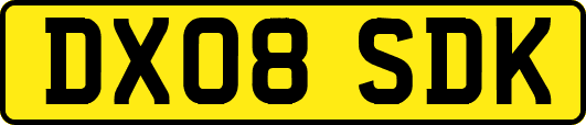 DX08SDK