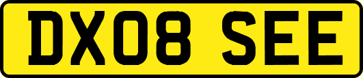 DX08SEE
