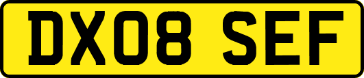 DX08SEF