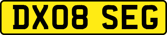 DX08SEG