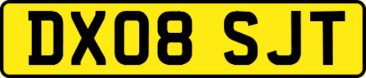 DX08SJT