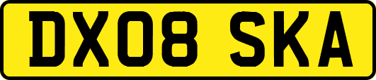 DX08SKA